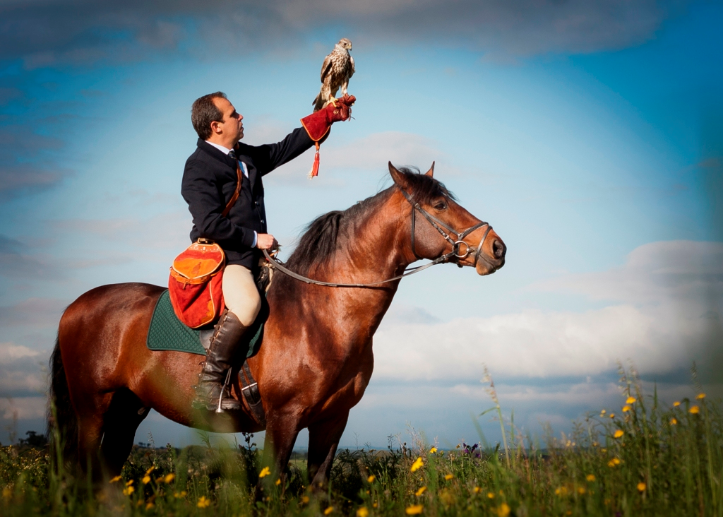 Conferência leva falcões ao Museu do Oriente