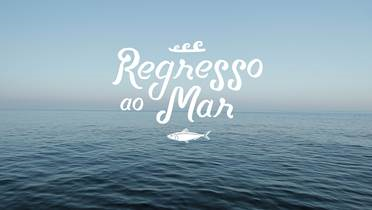 SIC Noticias estreia documentário “Regresso ao Mar”