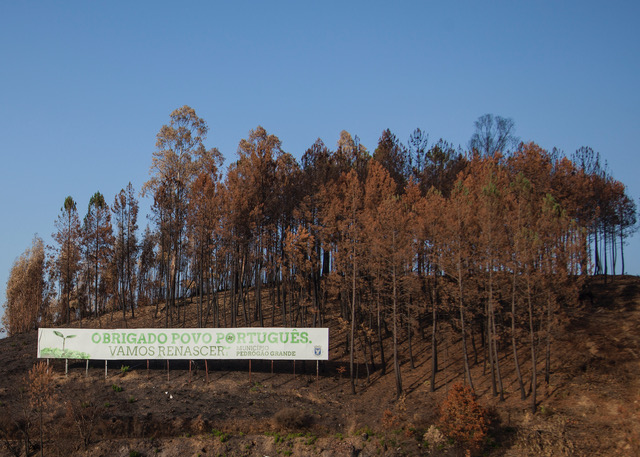 Pedrógão Grande recebe Gala das 7 Maravilhas- Aldeias