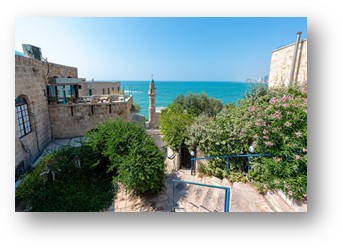 momondo ajuda a escolher destino da próxima viagem