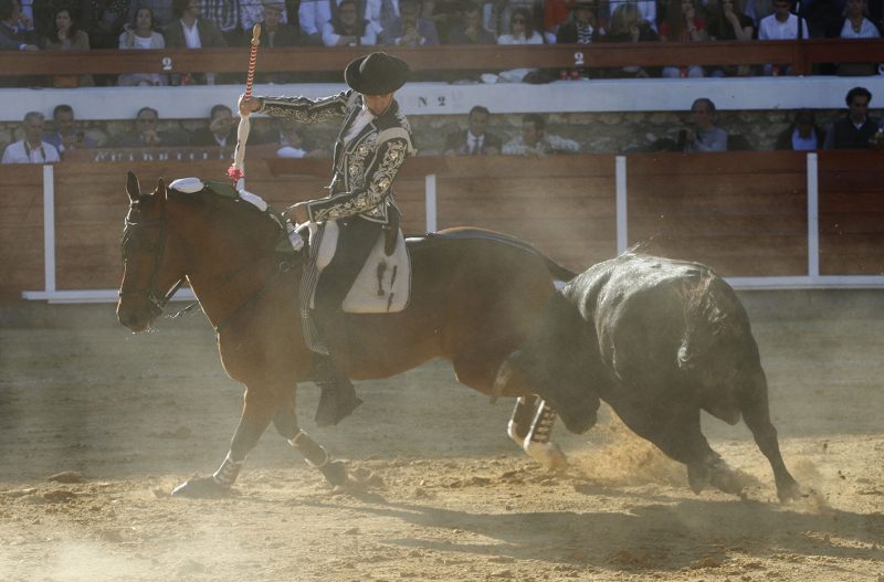 Brihuega: Manzanares em ombros e 1 orelha para Hermoso de Mendoza e Cayetano
