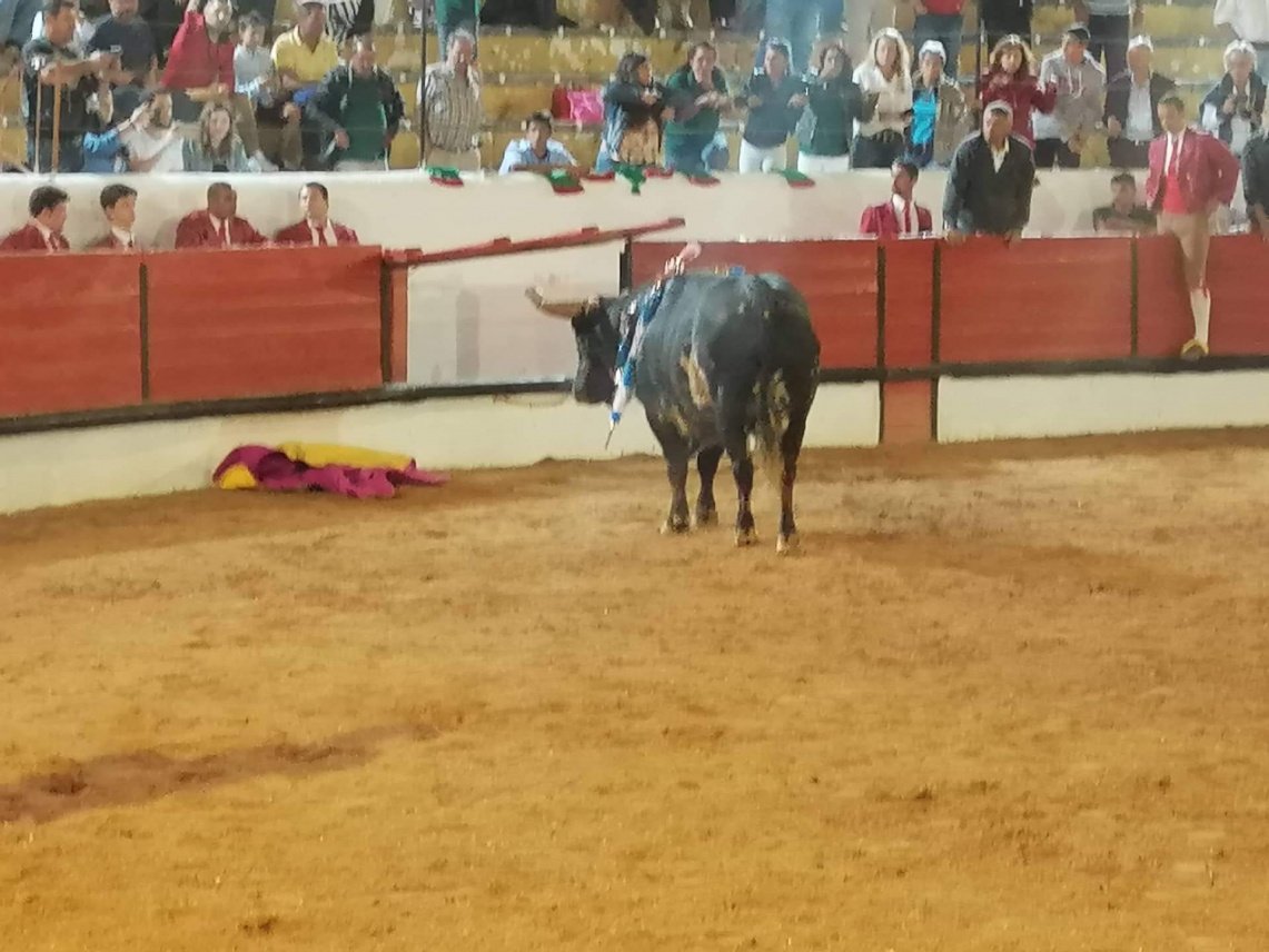 Enfermaria da praça de touros de Tomar tem condições “precárias”, revela médica