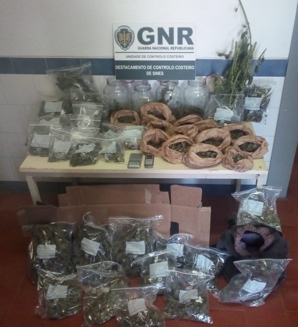 Aljezur: Detido na posse de 2164 doses de cannabis