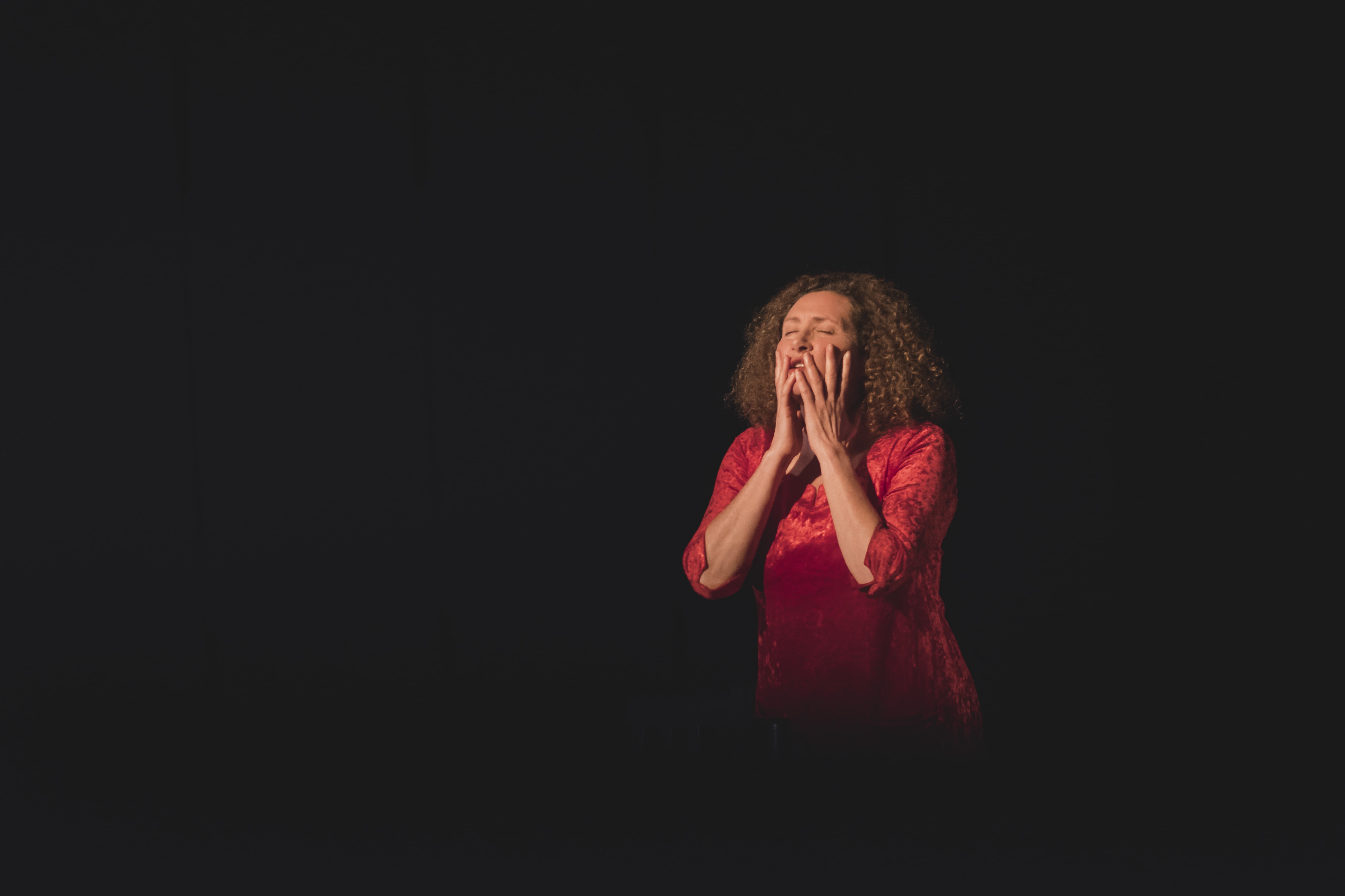 A Criada Zerlina está de regresso ao Teatro Aberto