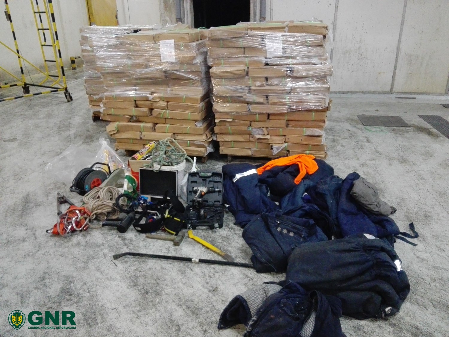 GNR apreendeu 640 Kg de pescado congelado na Gafanha da Nazaré