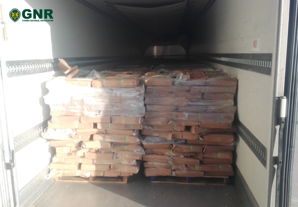 63 toneladas de pescado congelado apreendidas na Gafanha da Nazaré