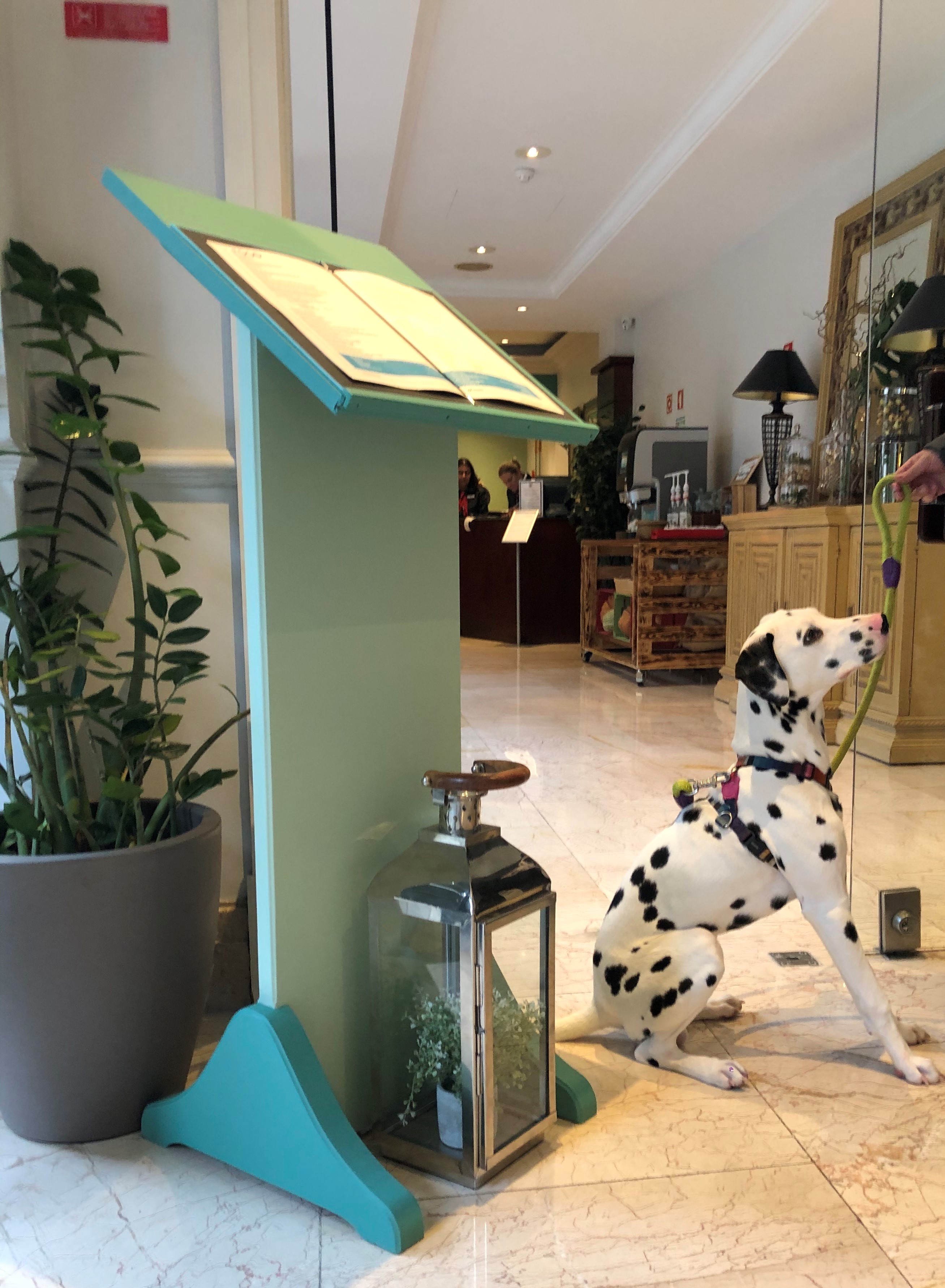 Lisbon Marriott Hotel é Pet Friendly