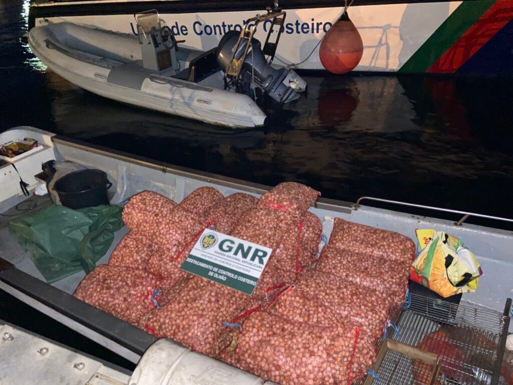 Faro: Mais de meia tonelada de berbigão apreendida por captura durante a noite