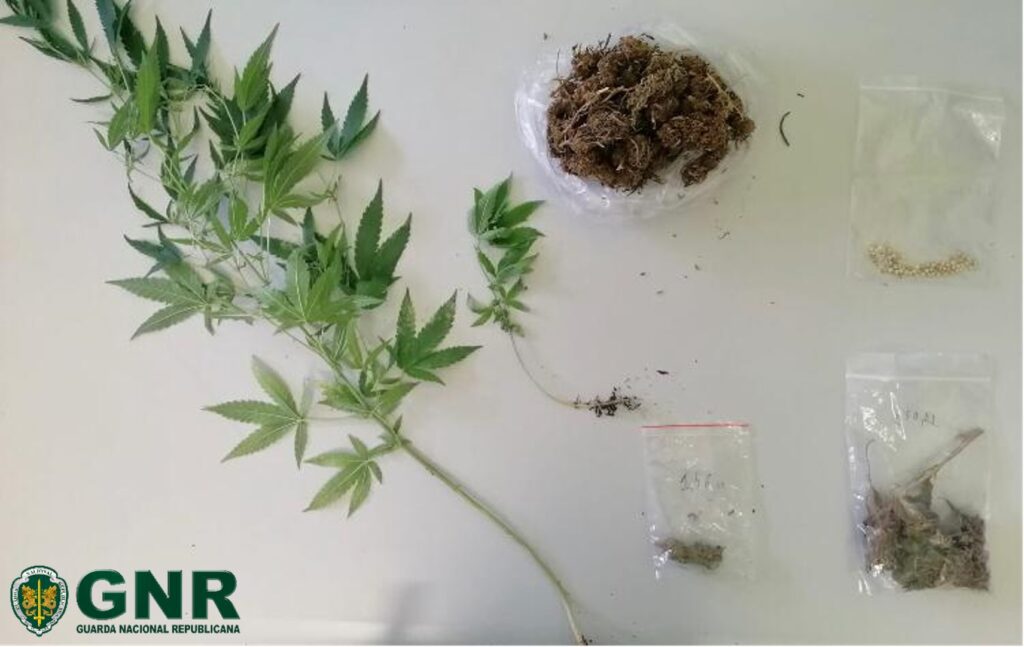 Almeirim: GNR deteve homem por tráfico de droga