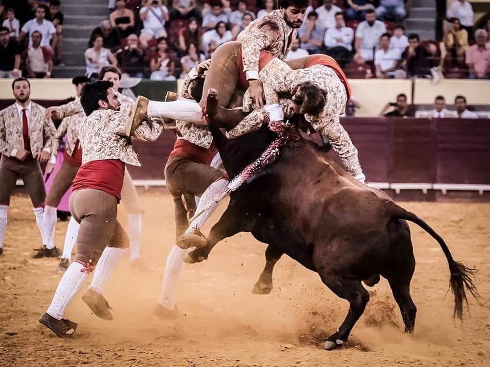 “Temos a visão de um país rendido à grandeza da Corrida de Toiros à Portuguesa”, diz cabo dos amadores das Caldas da Rainha