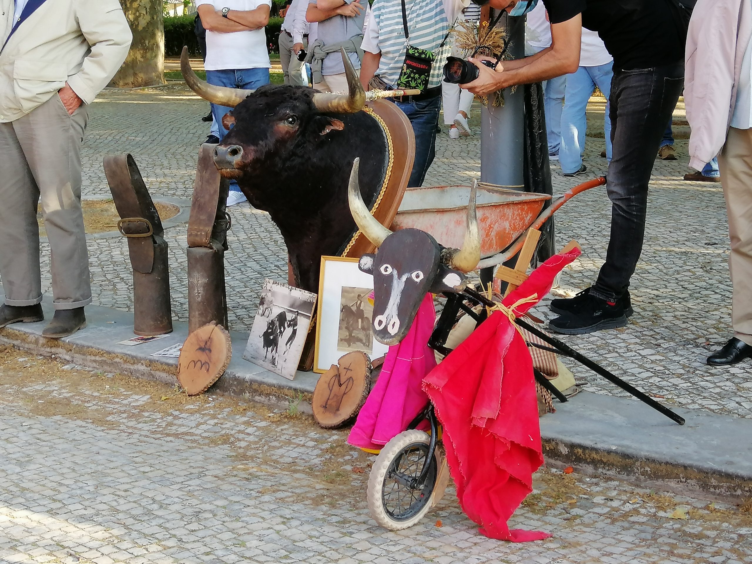 Nuno Pardal: “Temos toureiros com dificuldades para alimentar as suas quadras de cavalos”
