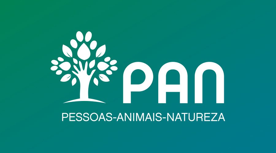 PAN declara apoio a Ana Gomes para as Eleições Presidenciais