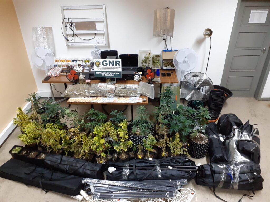 Gondomar: GNR deteve 2 homens em mega operação contra o tráfico de droga (C/Vídeo)