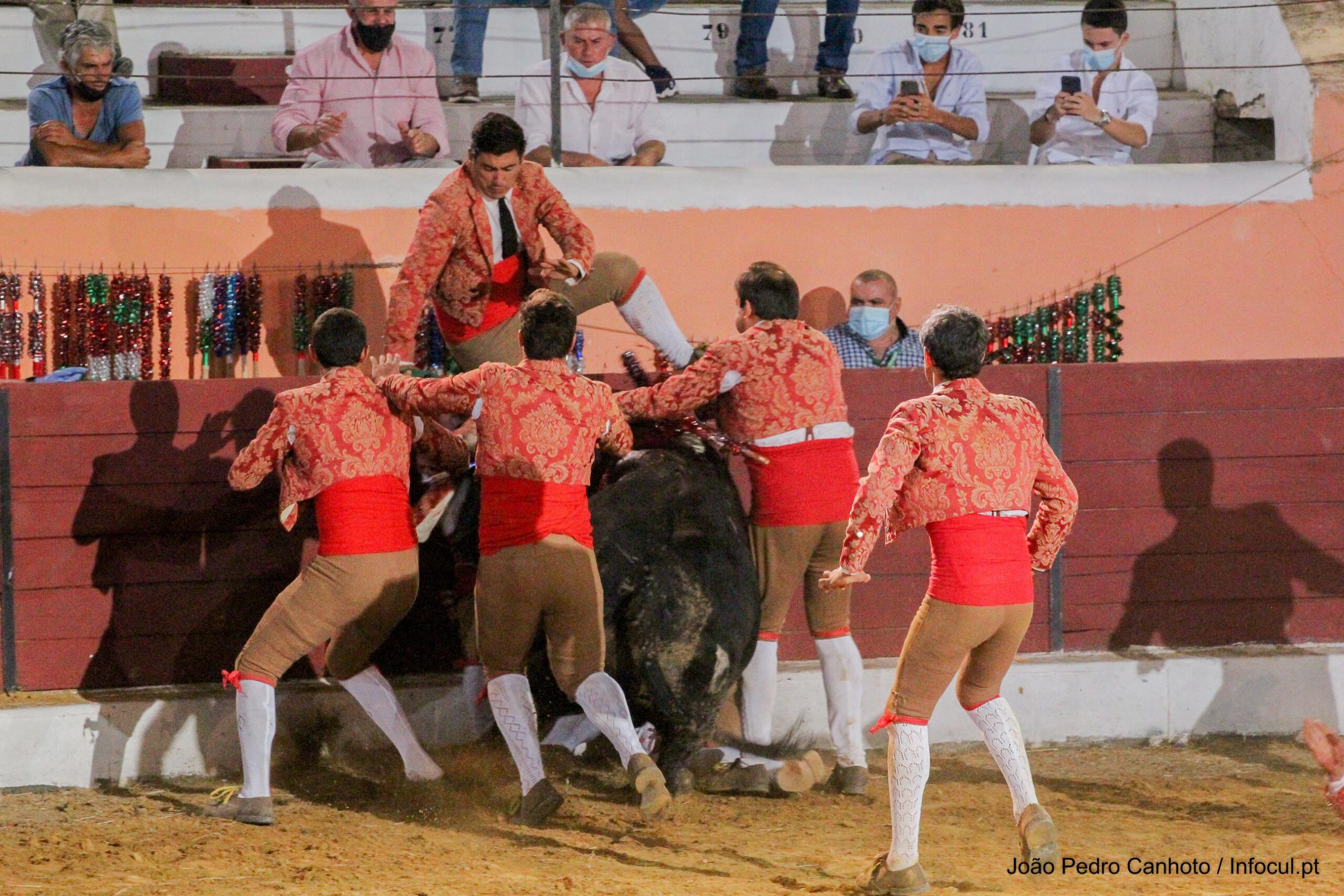 Forcado de São Manços transferido para Lisboa, em estado grave