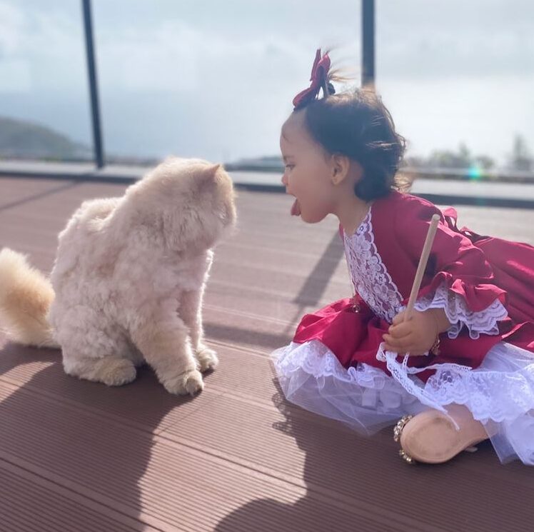 Gato de Dolores Aveiro já apareceu!