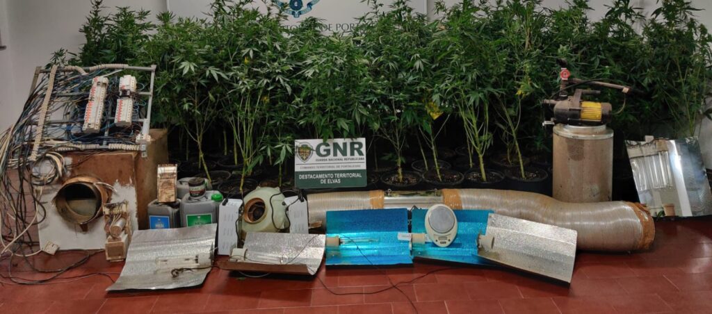Arronches: GNR deteve homem por tráfico de droga