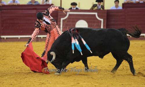 Juan José Padilla