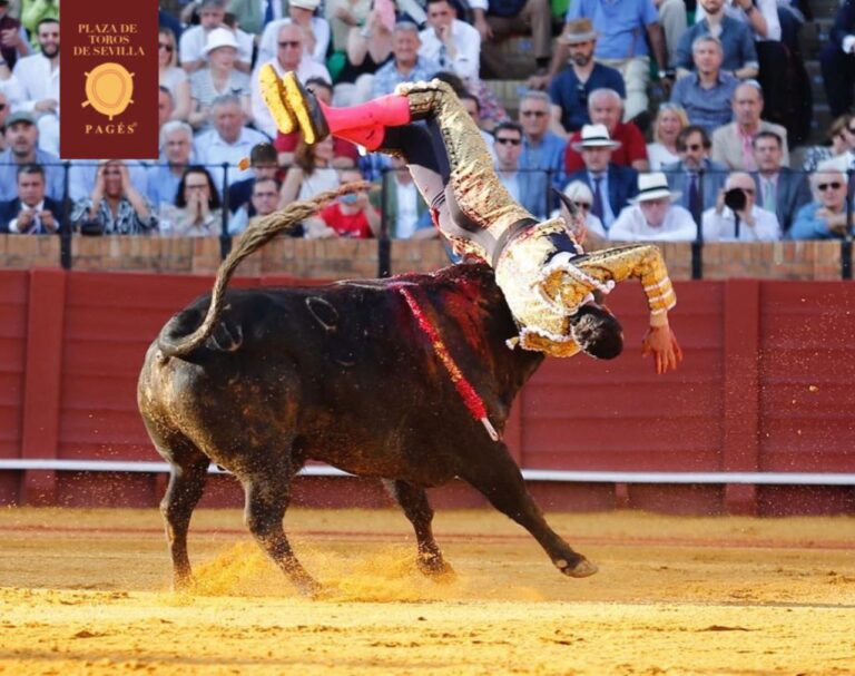 Sevilha: Colhida de Ureña em tarde sem troféus