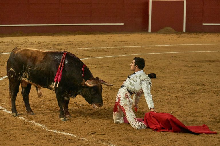 Reportagem: García Pulido em ombros no fecho da feira taurina em Valdemorillo