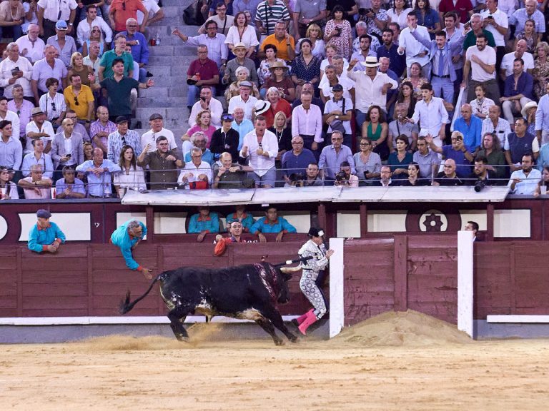 Las Ventas: Volta para Castella e Ureña e muitos sustos em Madrid