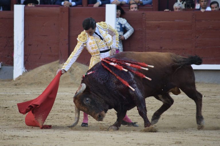Las Ventas: Apenas palmas para Juan Ortega