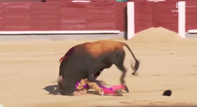 Namorado de Maria Cerqueira Gomes com colhida aparatosa em Madrid