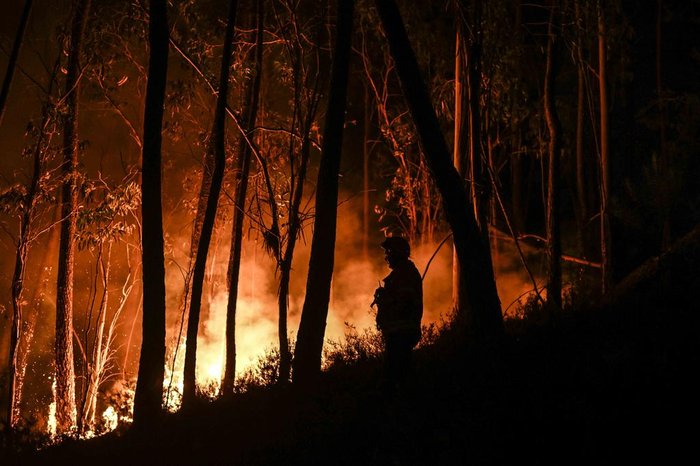 Duarte Pio critica Governo por falta de prevenção nos incêndios: “Não podemos aceitar como normal”