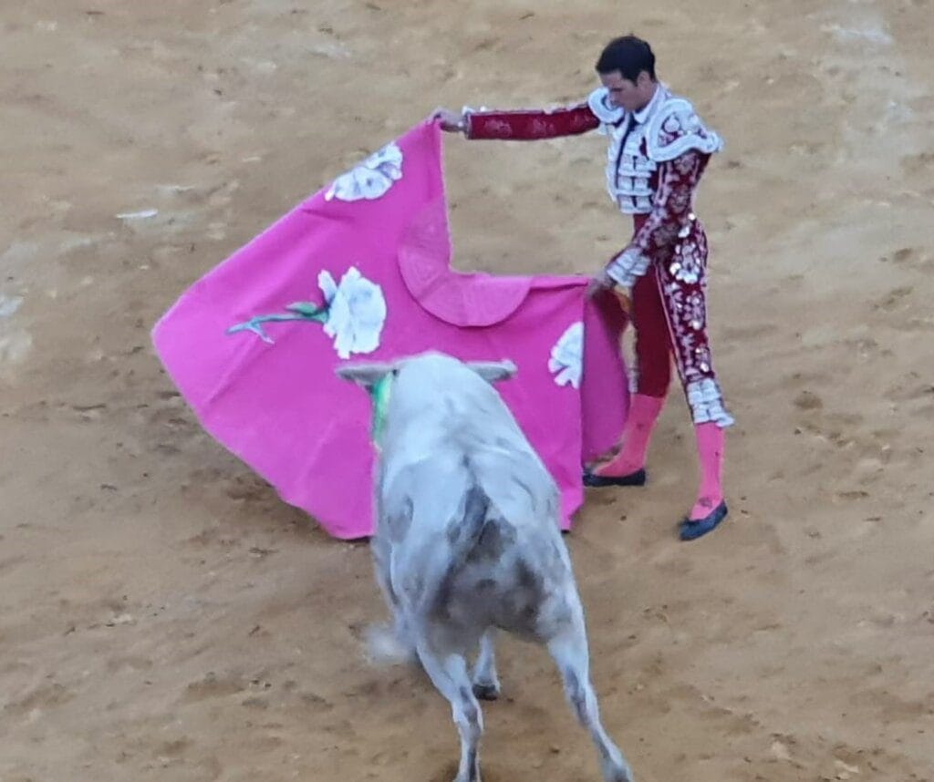 Ceheguin: Antonio Purta cortou 3 orelhas