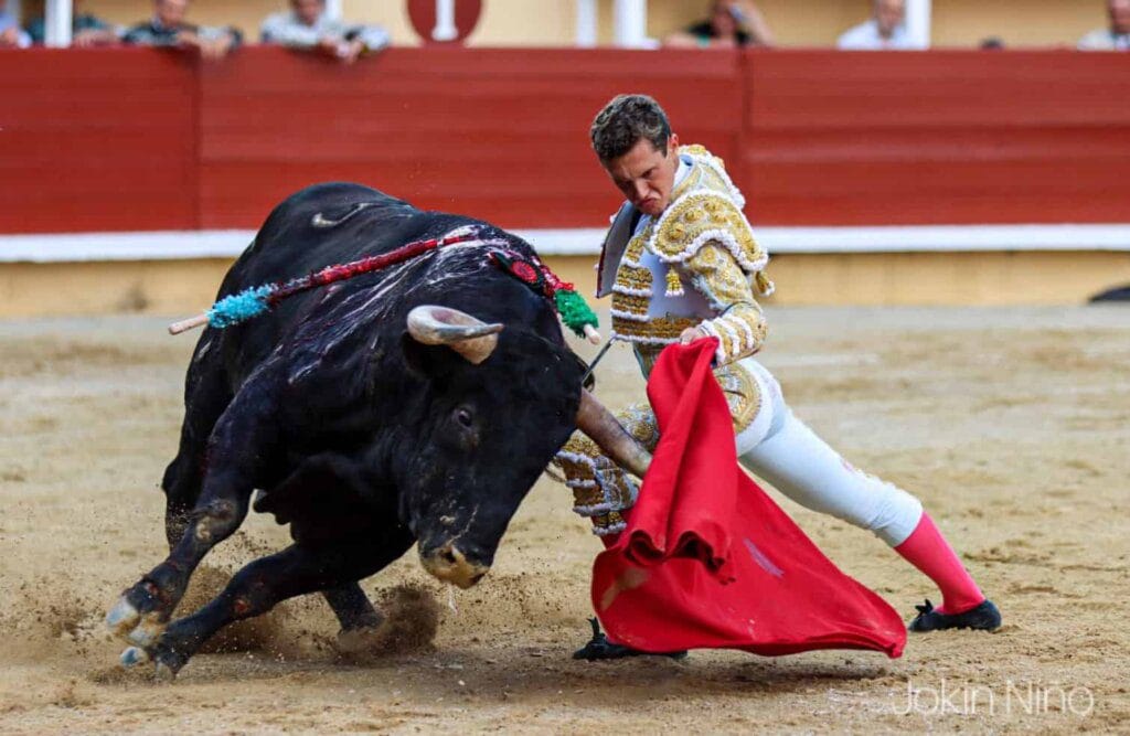 Bayona: Adrien Salenc triunfa frente a touros Pedraza de Yeltes