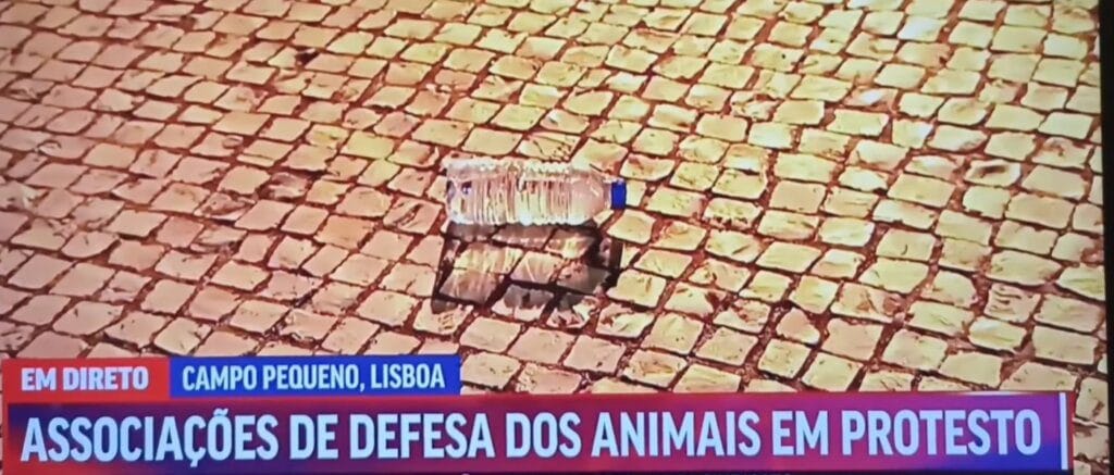Campo Pequeno: Aficionado agredido durante directo na TVI 24