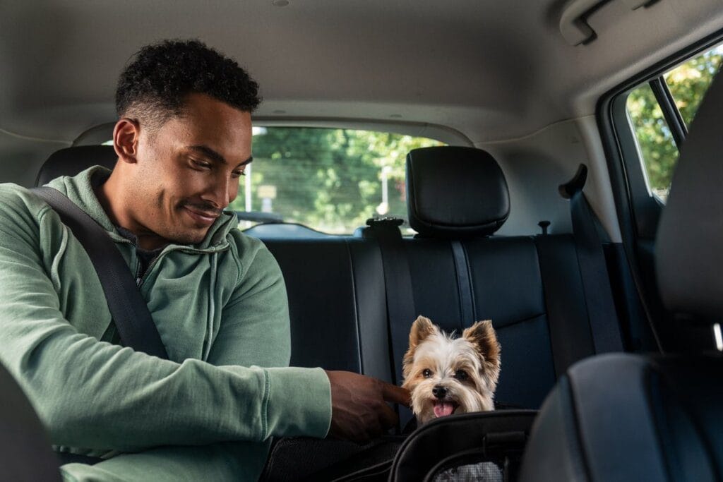 Chegou a Uber Pet: Poderá viajar com o seu animal de estimação