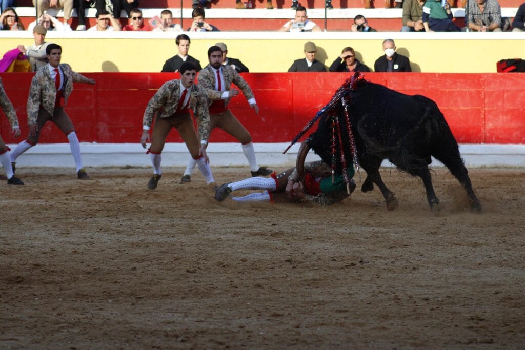 Forcado do Aposento da Moita saiu lesionado da arena