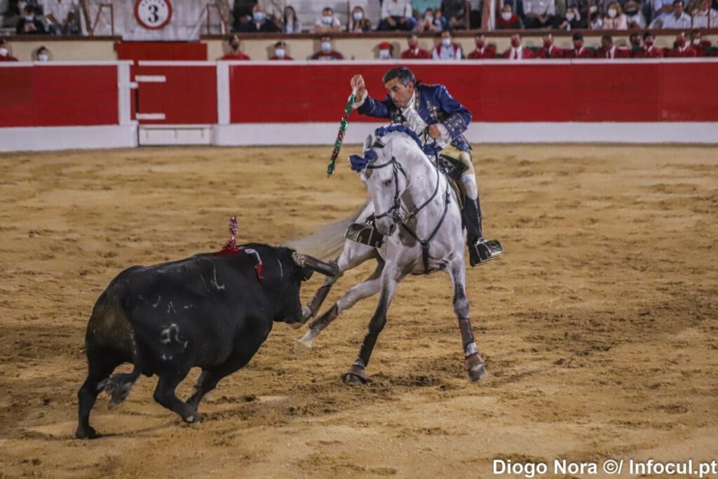Almeirim: Rouxinol destaca "corrida muito bem montada" e pede casa esgotada