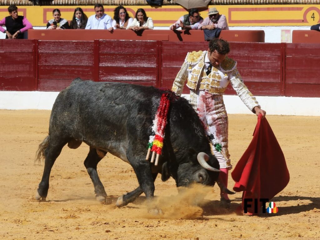 Olivenza: Manhã 'cumbre' de Ferrera e com indulto ao quinto touro