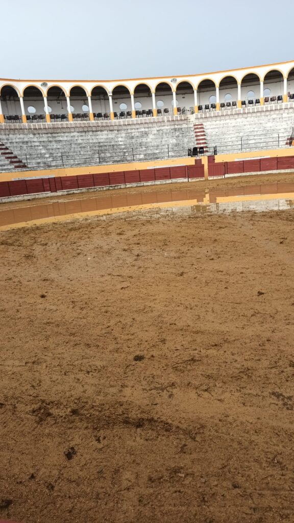 Festival Taurino em Reguengos de Monsaraz adiado para 20 de Março
