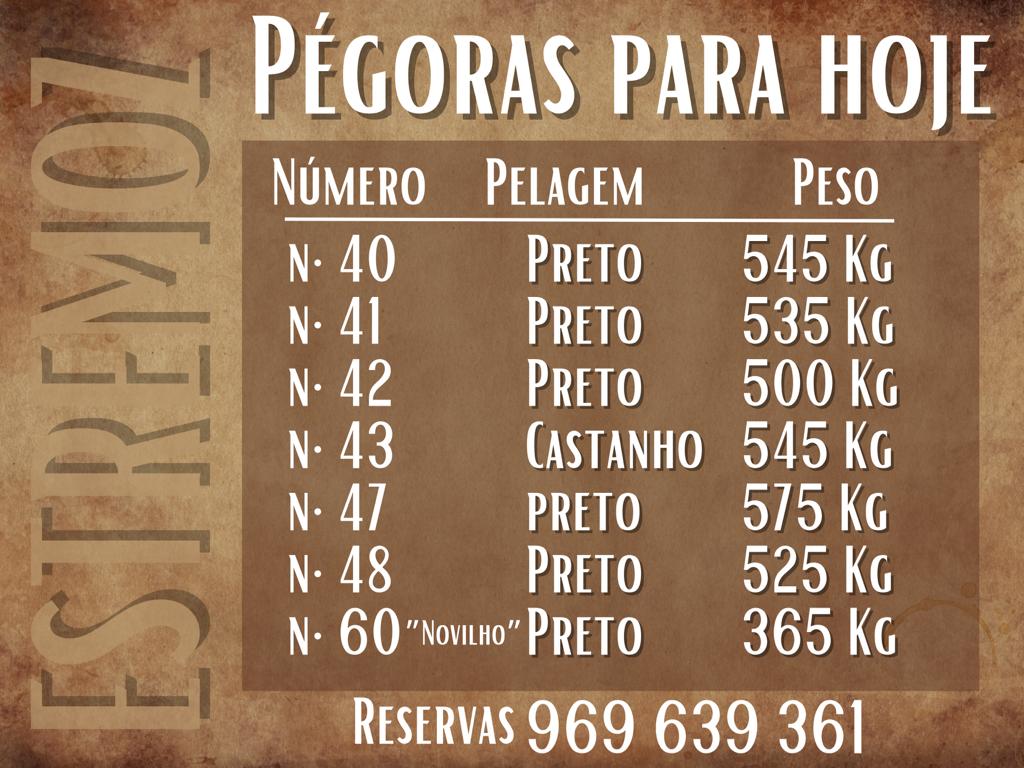 Pesos dos touros de Herdade de Pégoras para hoje em Estremoz
