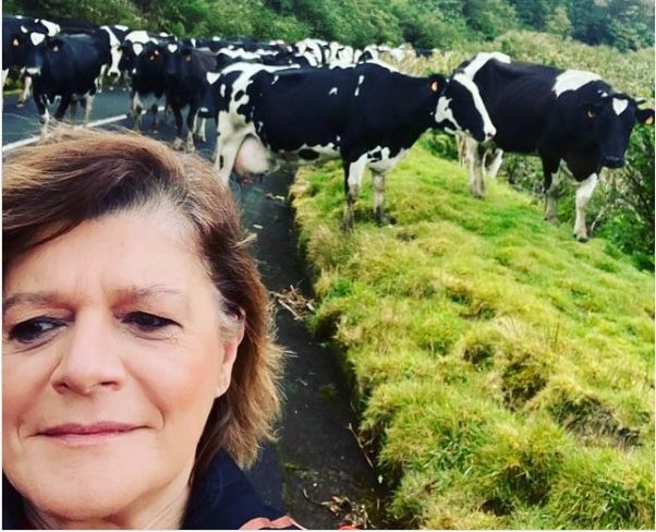 Júlia Pinheiro teve encontro peculiar com as vacas dos Açores