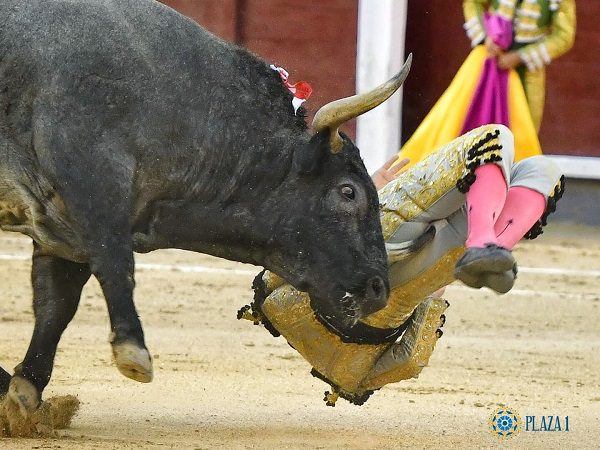 Grave colhida de Gómez del Pilar em Las Ventas