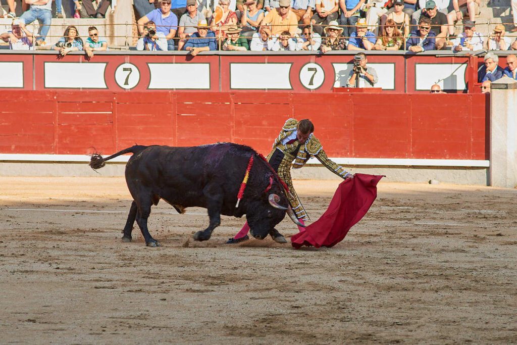 Las Ventas: Valeram Javier Cortés e os touros de El Pilar