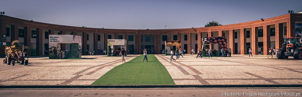 Feira Nacional da Agricultura dinamiza Santarém e promove sectores essenciais para o país