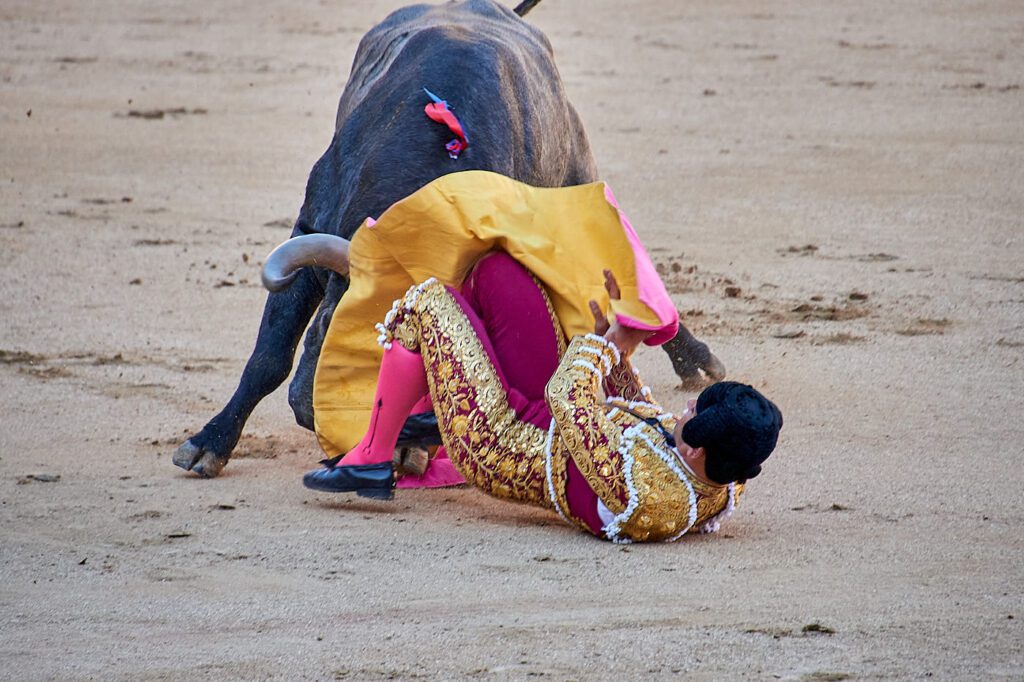 Las Ventas: As imagens da colhida de Sergio Serrano