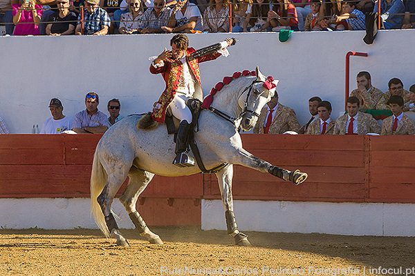 Marcos Bastinhas após triunfar em Póvoa de São Miguel: "Os cavalos estiveram muito bem, a alto nível"
