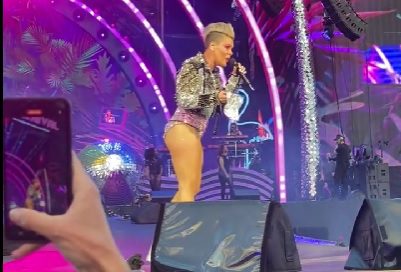Fã interrompe concerto de Pink e atira cinzas do cadáver da mãe para o palco