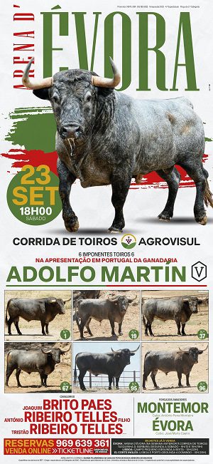 Touros Adolfo Martín em Évora a 23 de Setembro