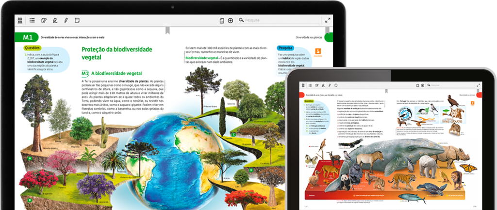 Escola Virtual